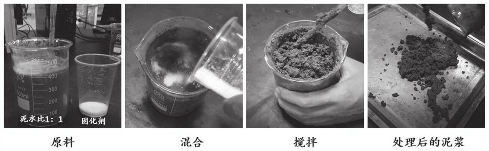 Muddy water curing agent for preparing plant-growing bag from engineering slurry, plant-growing bag and preparation method