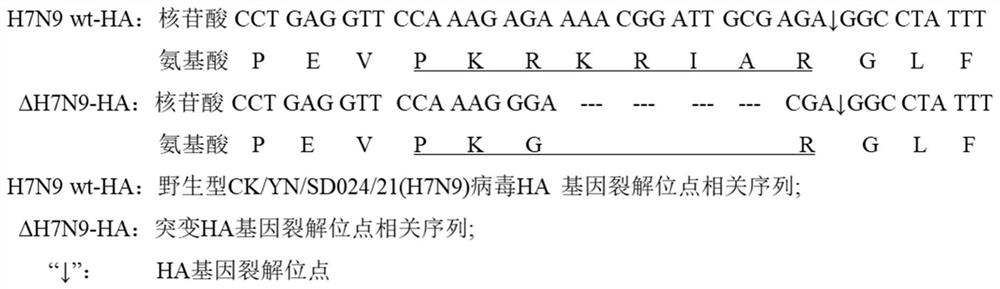 Artificial recombinant H7N9 influenza virus and preparation method and application thereof