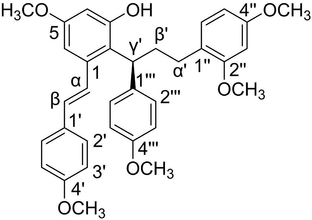 New conjugate stilbene compound, and preparation method and medicinal use thereof