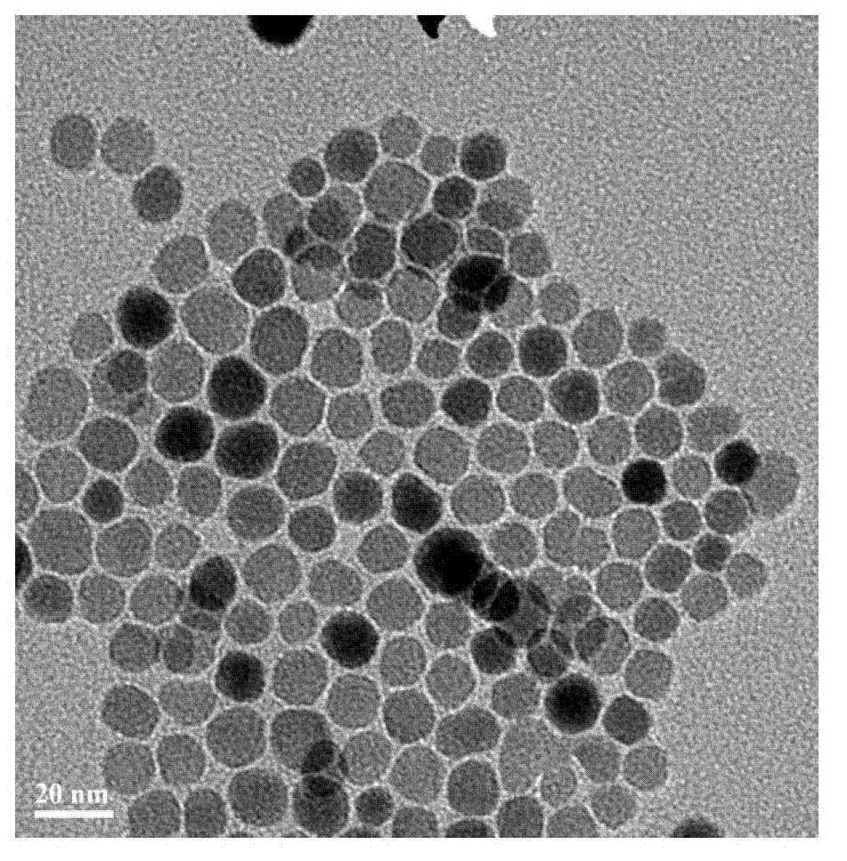Ferrate magnetic nanocomposite with core-shell structure, preparation method and application thereof