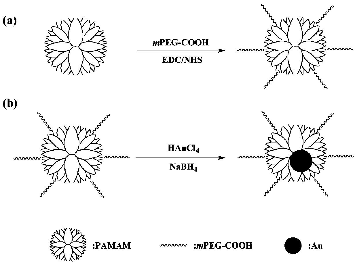 Method for preparing polyethylene glycol-modified polyamide-amine dendrimer macromolecule-wrapped gold nanoparticle-loaded CpG ODN