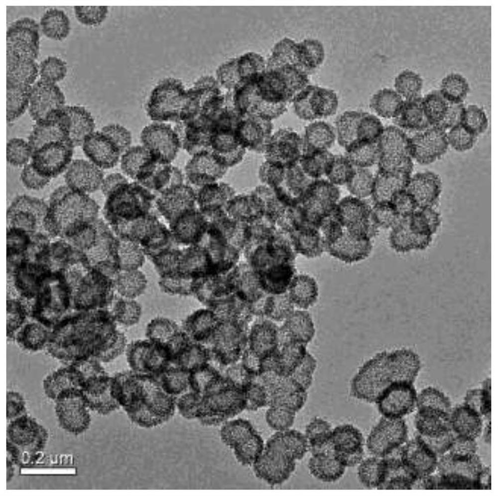 A preparation method of pH-responsive degradable hollow mesoporous silicone nanoparticles