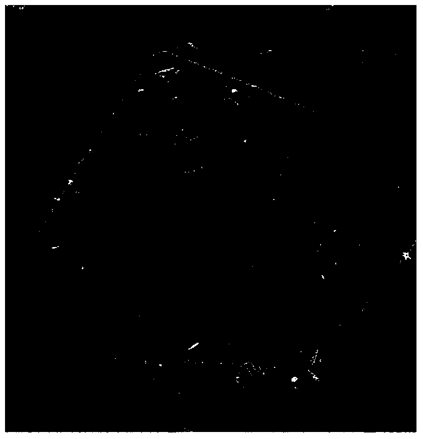 Fe-SAPO-34 molecular sieve with high skeleton ion content and preparation method thereof