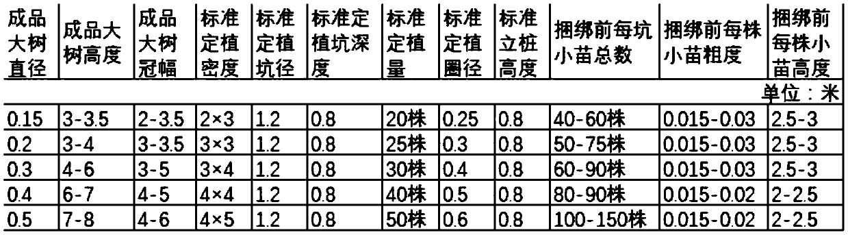 Landscape tree cultivation method suitable for trees and shrubs with upright trunks