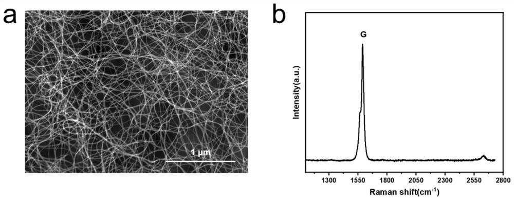 Method for efficiently and controllably chopping carbon nanotubes in gas phase