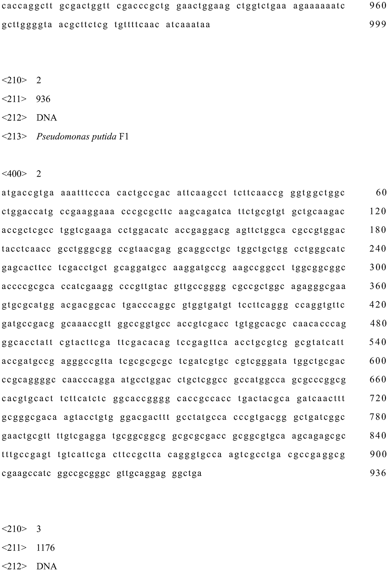 A strain of Escherichia coli engineered to synthesize muconic acid using glucose as a substrate