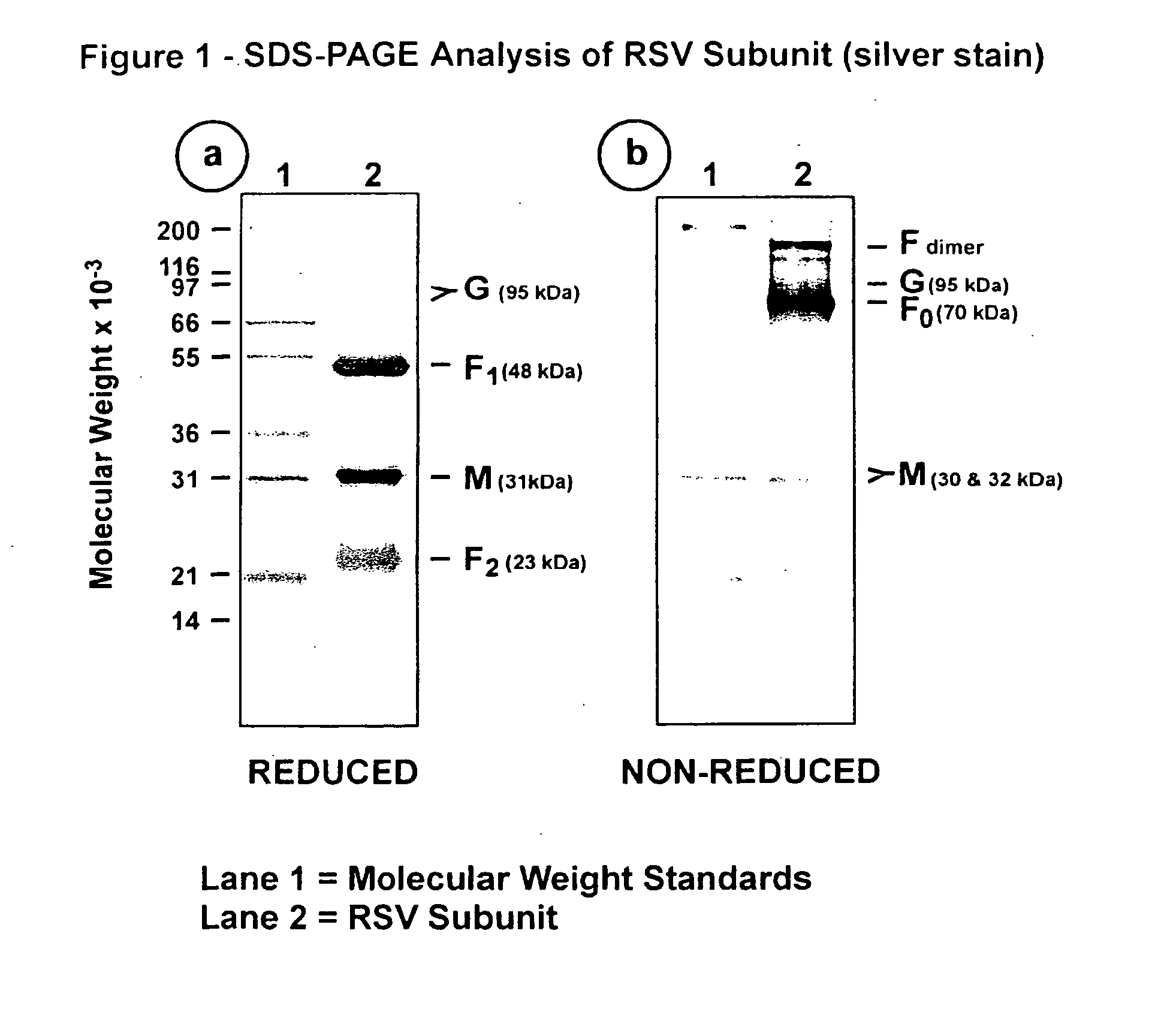 Subunit respiratory syncytial virus vaccine preparation