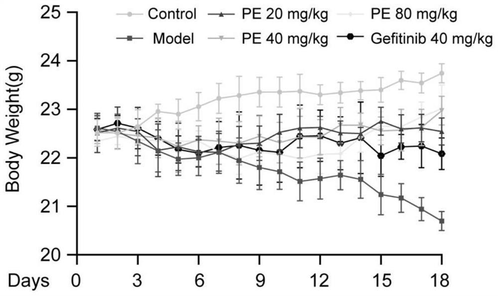 Application of pedunculoside in preparation of medicine for inhibiting lung metastatic cancer