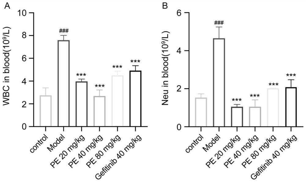 Application of pedunculoside in preparation of medicine for inhibiting lung metastatic cancer