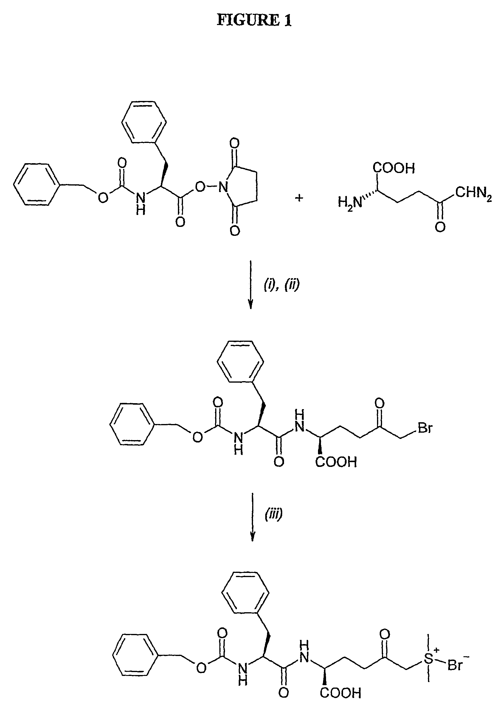 Amino acid derivatives and pharmaceutical uses thereof