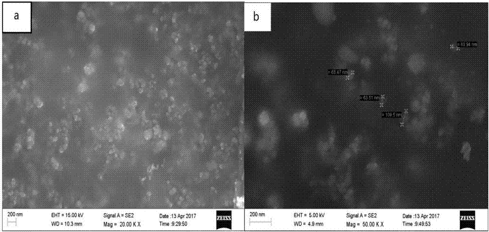 Preparation method for core-shell carbon-coated iron nanocomposite material