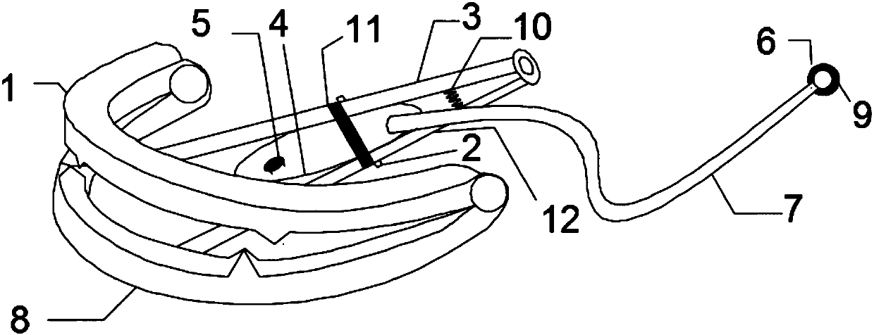 Medicine feeder for animals