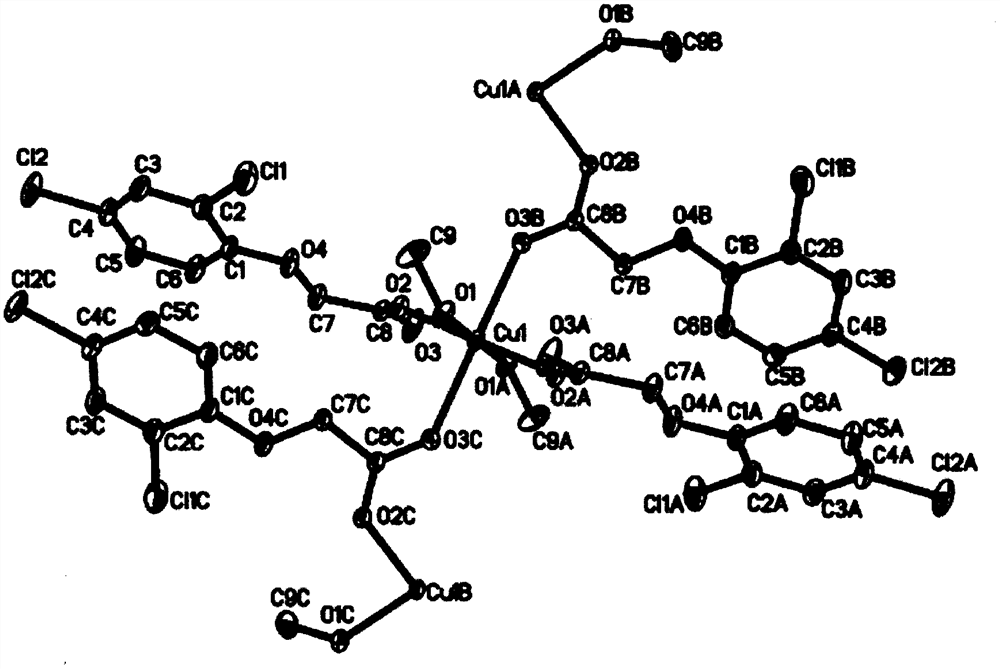 Preparation method and application of novel two-dimensional structure copper metal complex