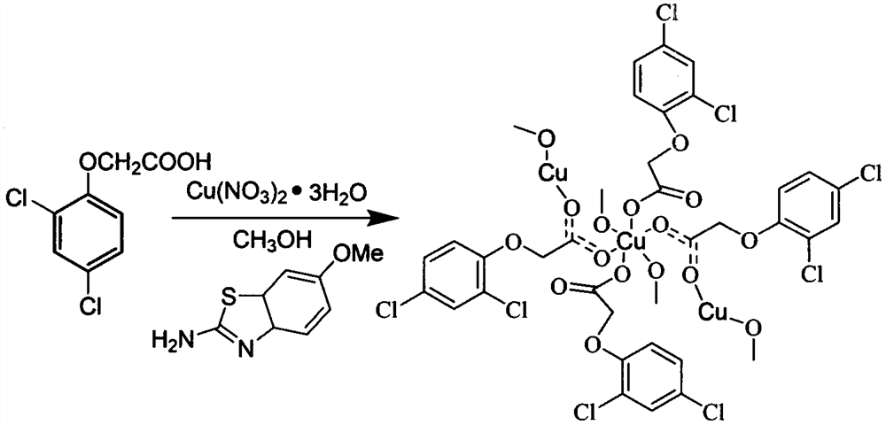 Preparation method and application of novel two-dimensional structure copper metal complex