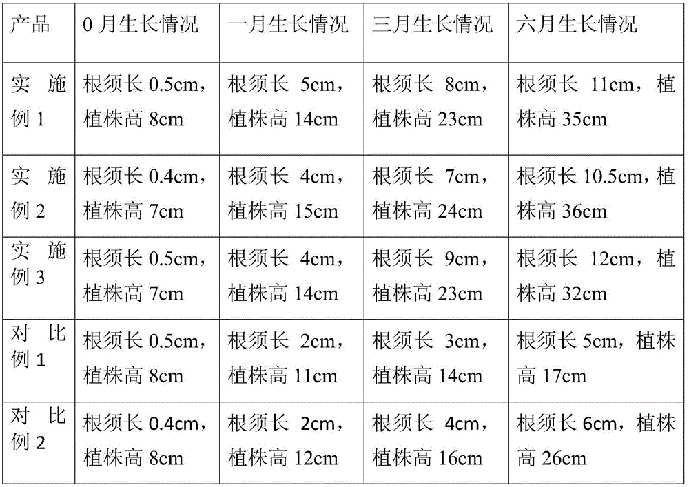 Method for cultivating dendrobe, collybia albuminosa, white ganoderma lucidum and artificial mushroom together