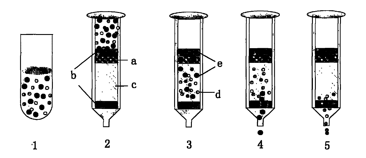 Ultrafiltration membrane-solid phase extraction combined device for sample pretreatment and application thereof