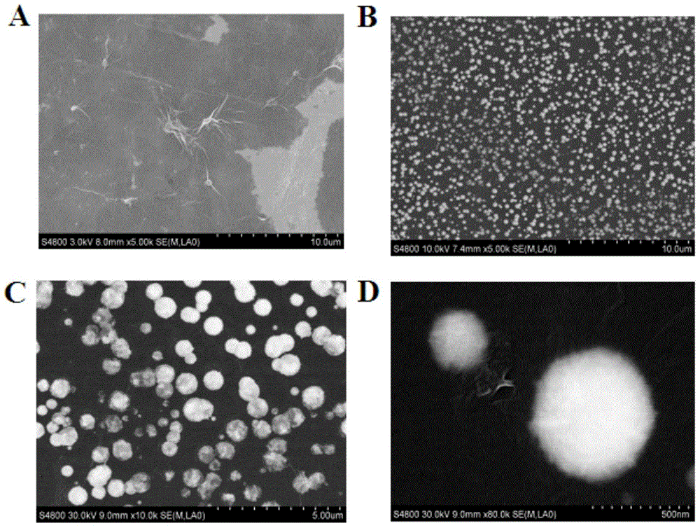 Single-stranded DNA/reduced graphene/cottony platinum nanoparticle as well as synthesis and application thereof