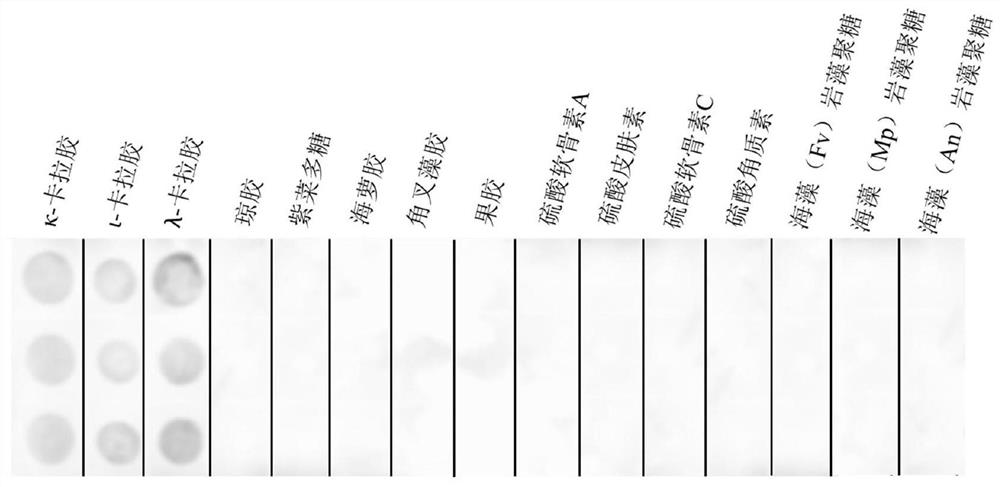 Carbohydrate binding domain specifically binding to carrageenan and its preparation and application