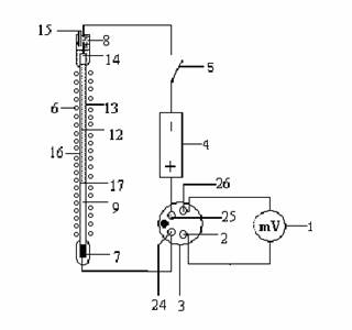 Device for determining migration number of hydrogen ions (H&lt;+&gt;) through interface method and method for determining migration number of H&lt;+&gt;