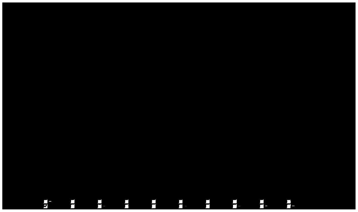 Alarm method of scooter, scooter, storage medium and electronic device