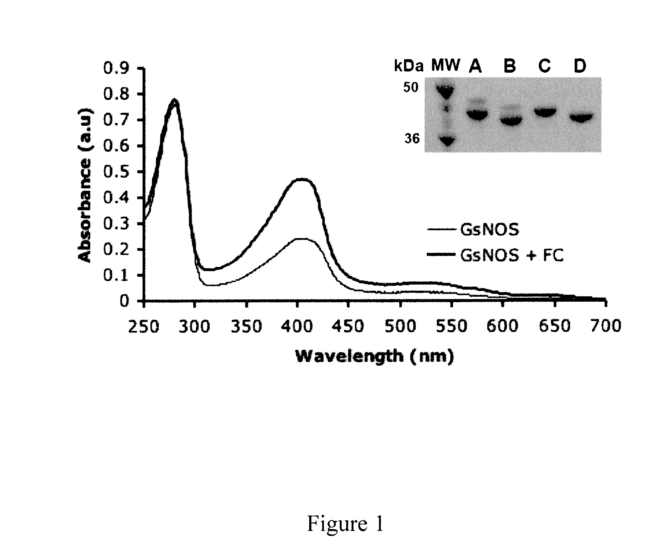 Methods of producing recombinant heme-binding proteins and uses thereof