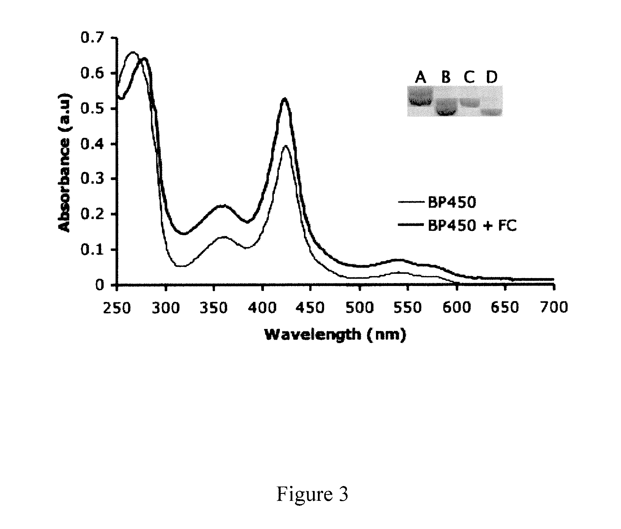 Methods of producing recombinant heme-binding proteins and uses thereof