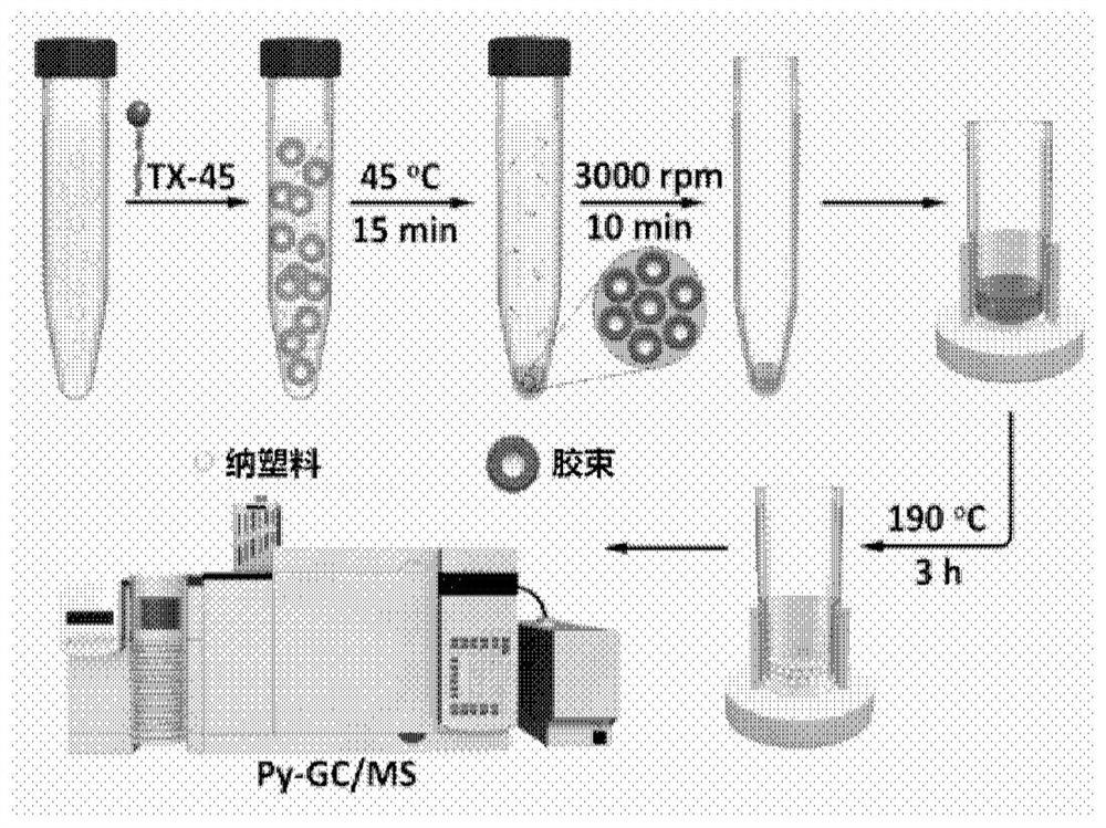 Method for Determination of Nanoplastics Based on Cloud Point Extraction-Pyrolysis Gas Chromatography-Mass Spectrometry