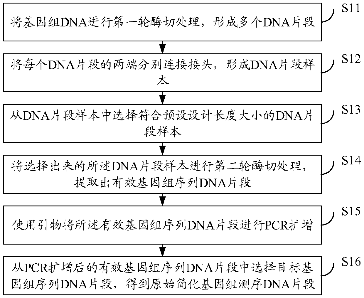 Restriction-site associated DNA sequencing library construction method, restriction-site associated DNA sequencing data analysis method, detection equipment and storage medium