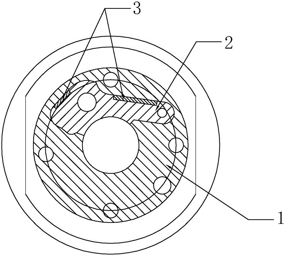 A wear-resistant lubricating punch structure for a powder metallurgy mold