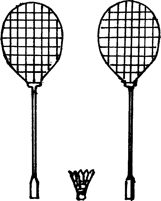 Battledore and shuttle cock sport and the production of racket, badminton and net