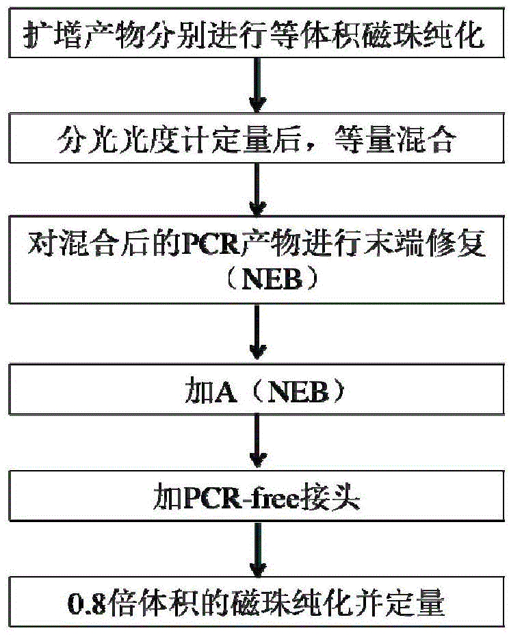Amplification sublibrary and construction method thereof