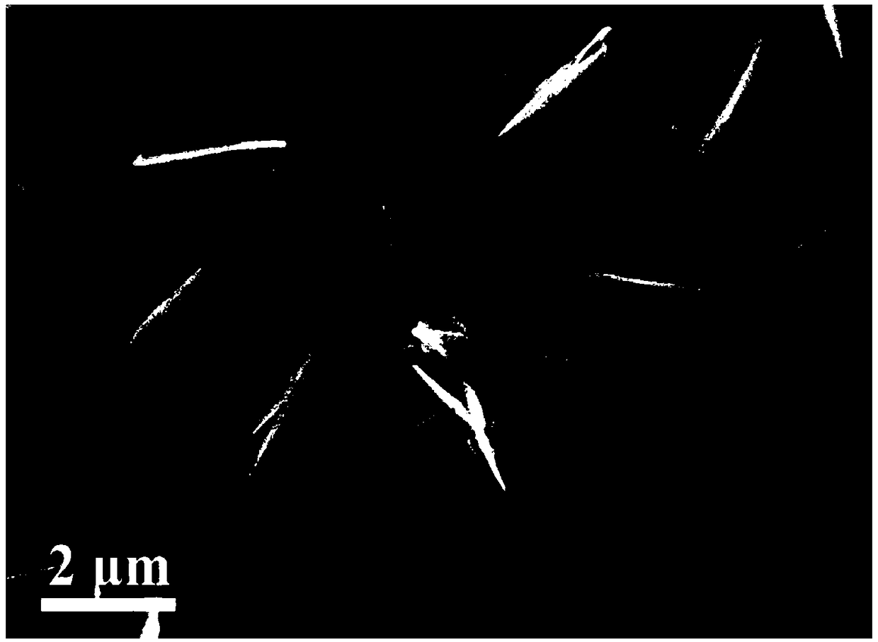 A kind of three-dimensional nitrogen-doped capsule carbon paper electrode material and preparation method thereof