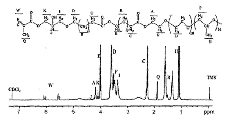 Degradable polyethyleneimine (PCFC-PEI) polymer preparation method and application in drug delivery system