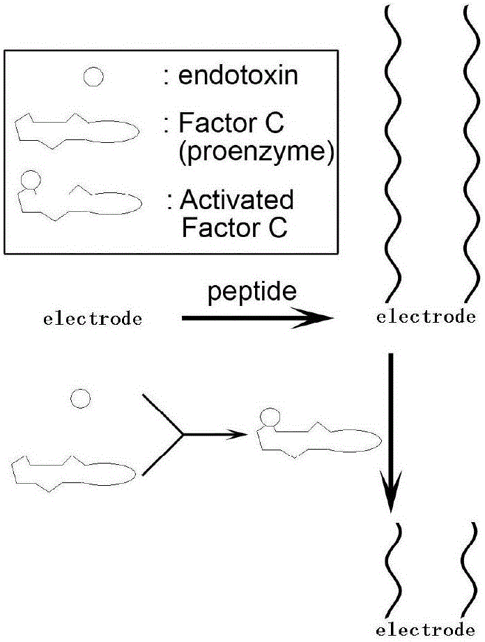 A method for detecting endotoxin content in liquid