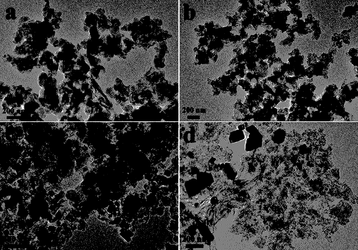 Preparation method of Fe/N/C codoped electrocatalyst for efficient oxygen reduction reaction and application of Fe/N/C codoped electrocatalyst for efficient oxygen reduction reaction