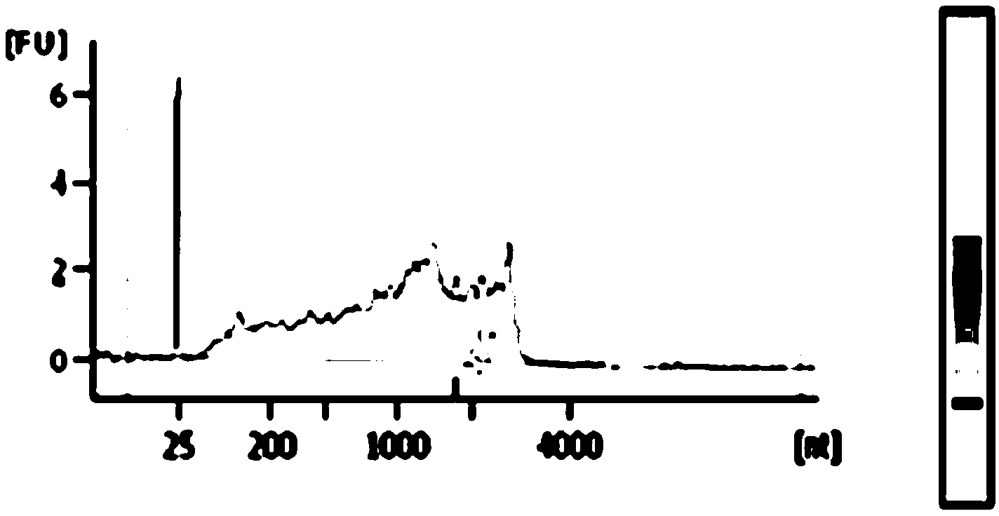 Method for extracting nucleic acid from biological sample