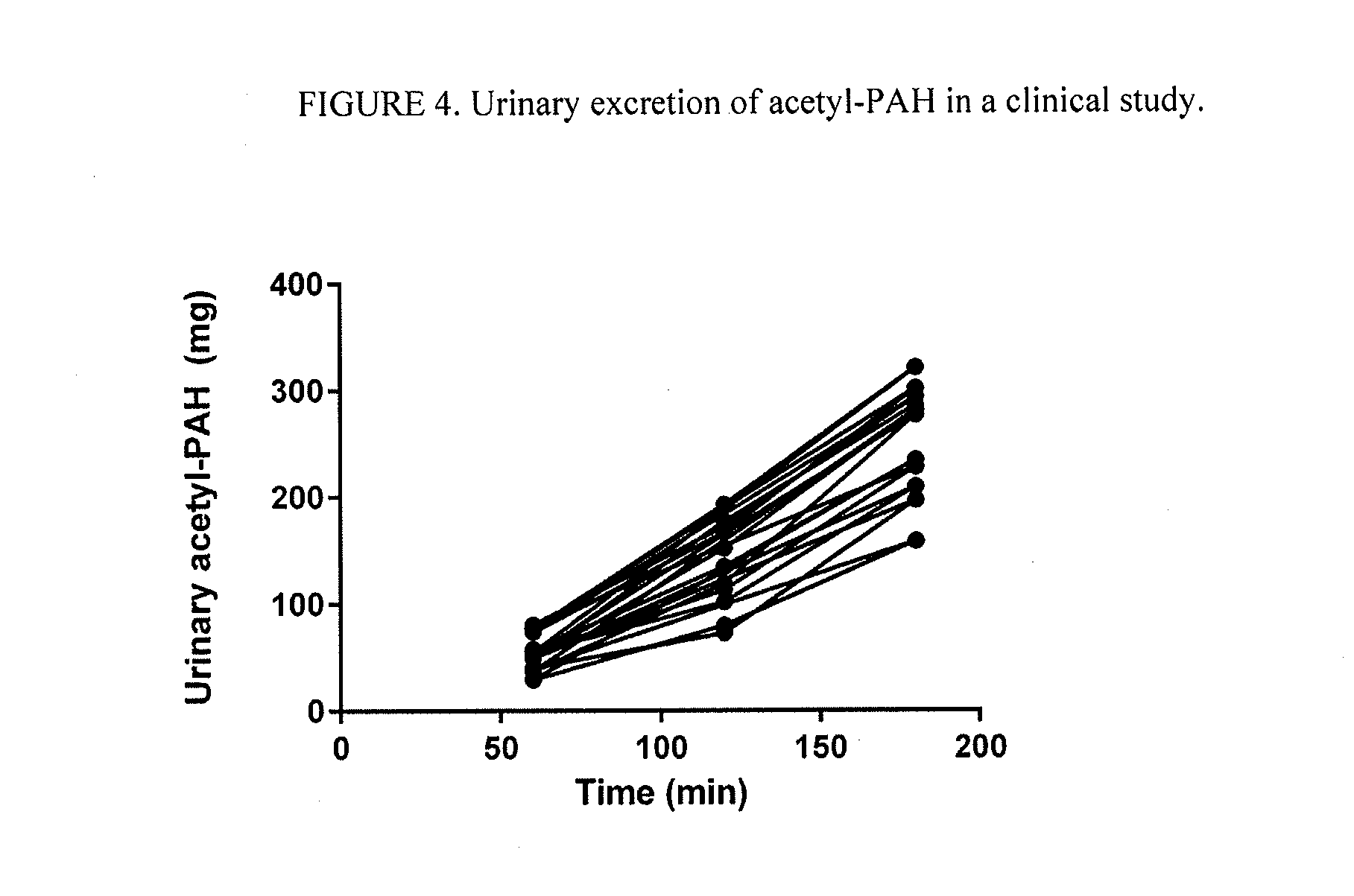 Method of screening pharmaceuticals for drug interactions and nephrotoxicity
