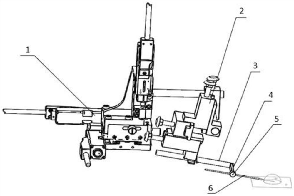 A kind of operating system and method for egg cell microinjection