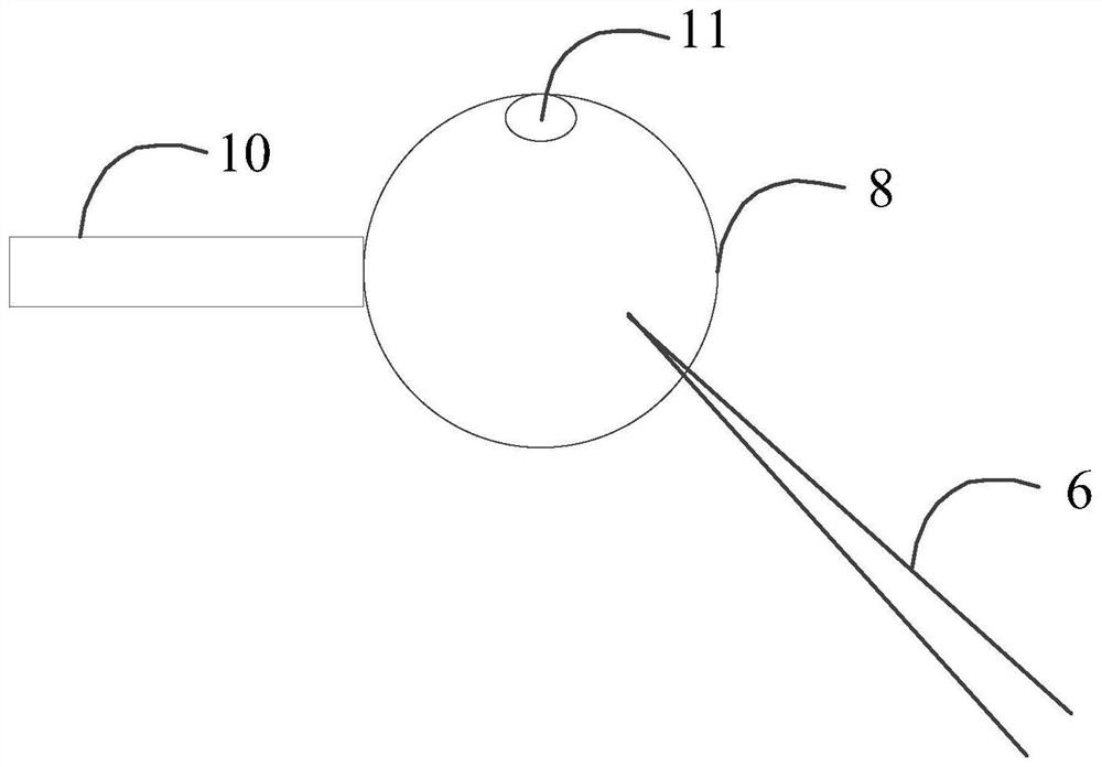 A kind of operating system and method for egg cell microinjection