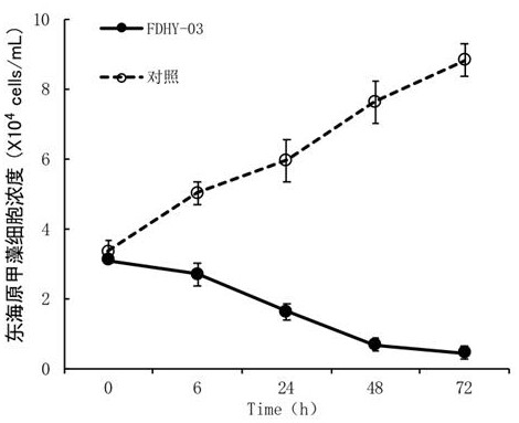 A strain of Alternomonas with algicidal ability and its application to Prorocentrum donghaiense