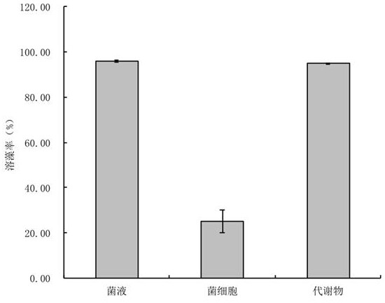 A strain of Alternomonas with algicidal ability and its application to Prorocentrum donghaiense