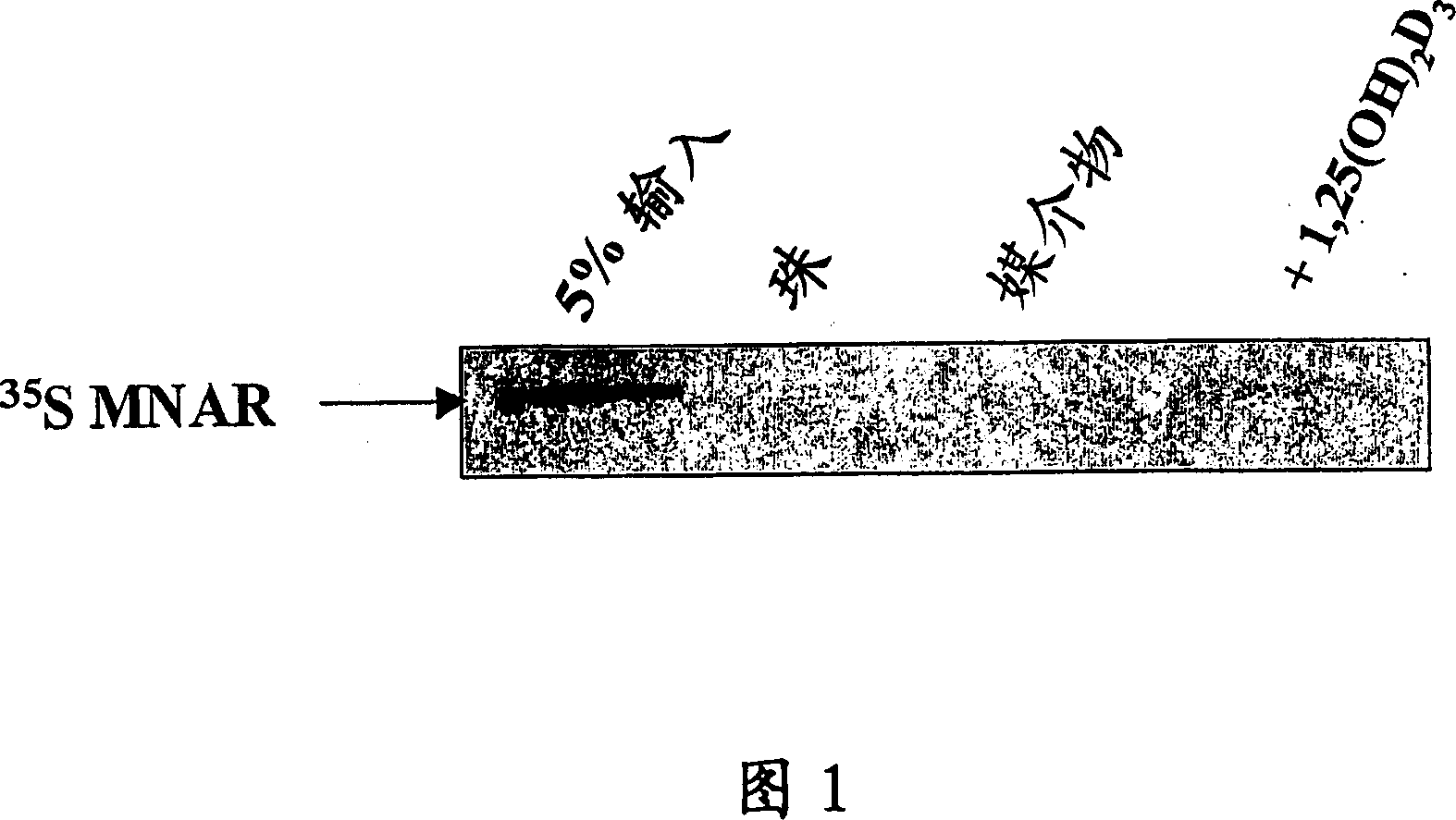 Functional method for generating or screening for ligands which modulate steroid hormone receptors