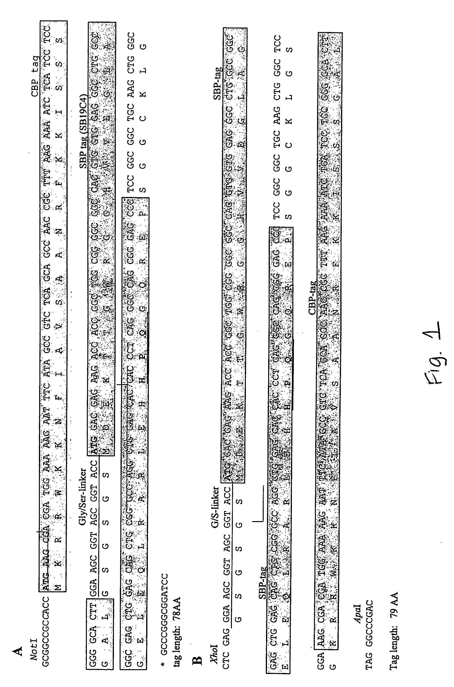 Compositions and methods for protein isolation
