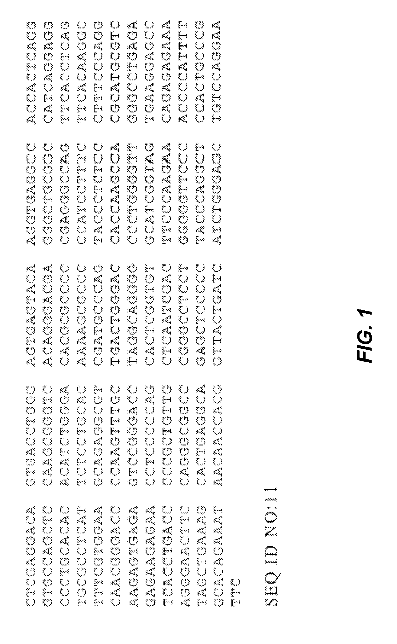 Methods of Identifying Compounds that Modulate IL-4 Receptor-Mediated IgE Synthesis Utilizing an Adenosine Kinase