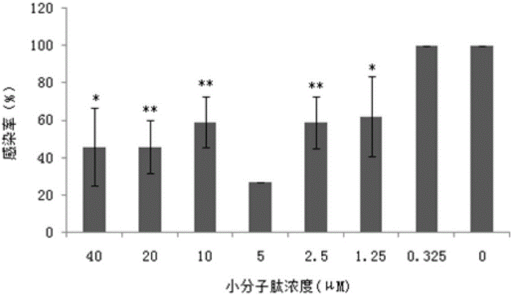 DENV (Dengue virus) protein E blocking peptide P7 and application thereof