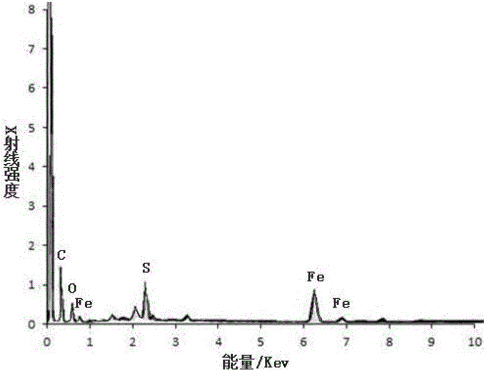 Application of nano-iron synthesized by tea leaves in p,p'-DDT removal