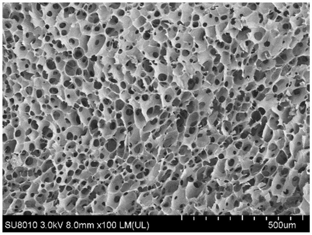 Amorphous calcium phosphate carboxymethyl chitosan nano-cluster material with ultra-small particle size and method