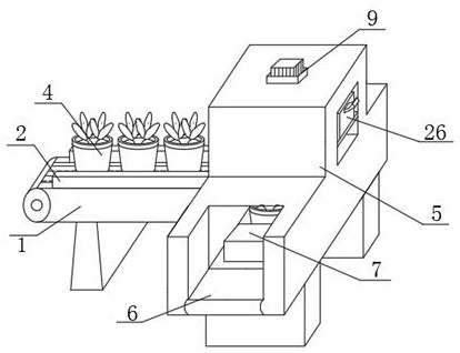 Mechanized fertilization method for chloranthus spicatus