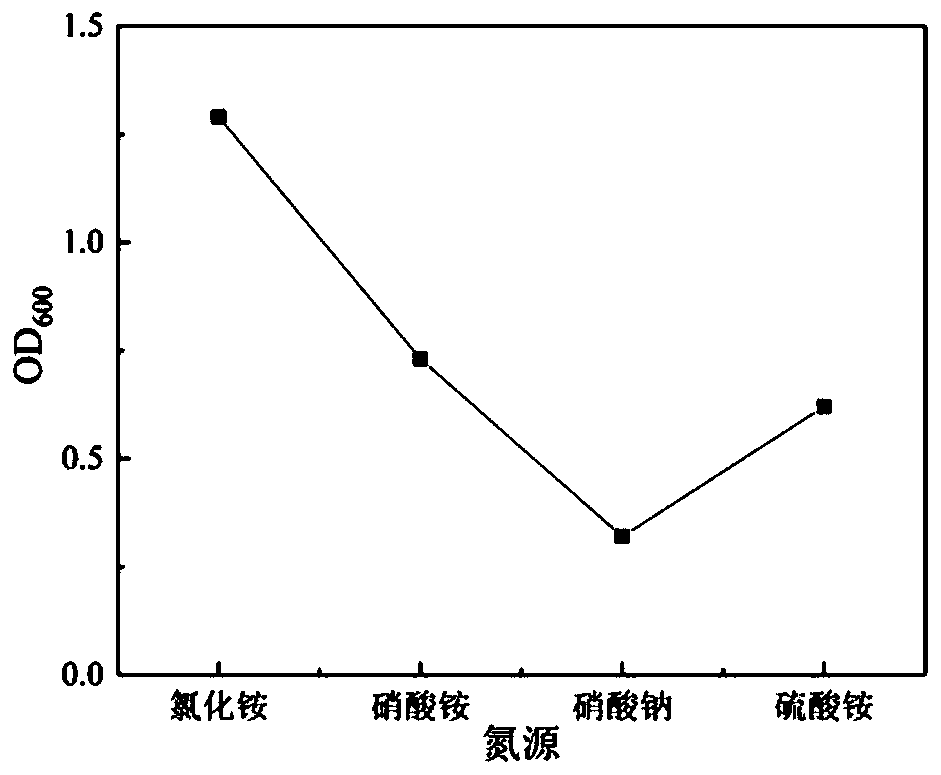 Anaerobic electrogenesis strain capable of degrading phenol and application thereof