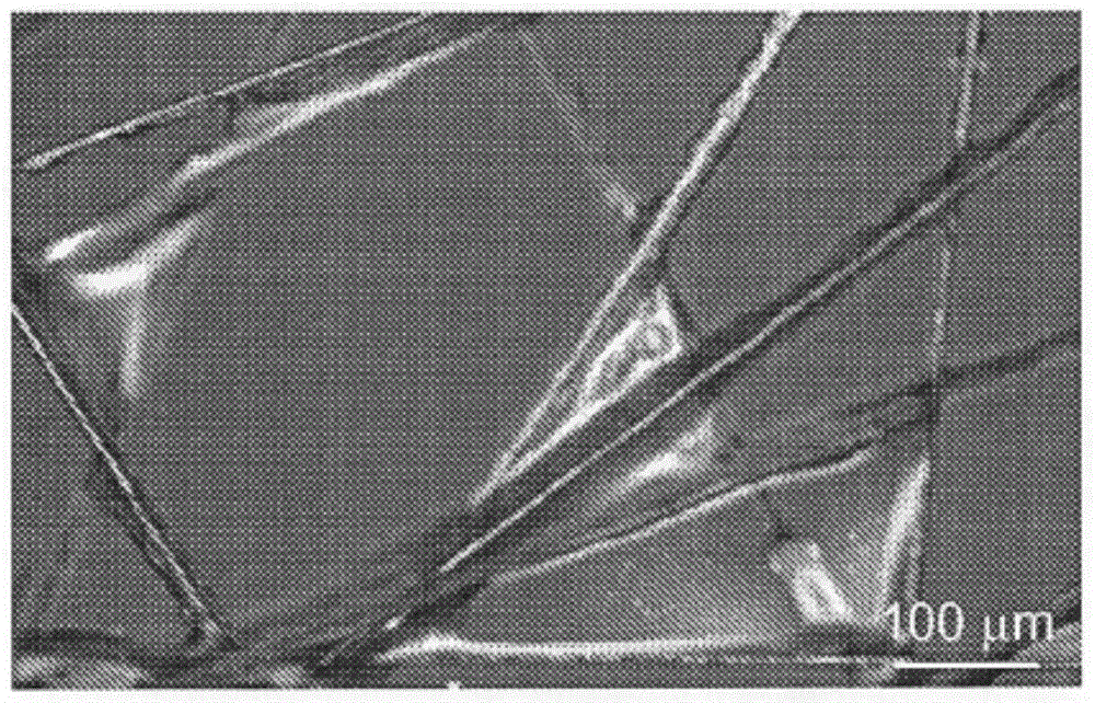 Liquid binder composition for binding fibrous materials